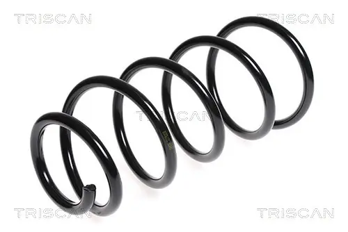 Пружина за ходовата част TRISCAN