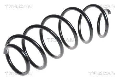 Пружина за ходовата част TRISCAN