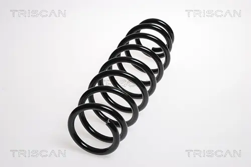 Пружина за ходовата част TRISCAN