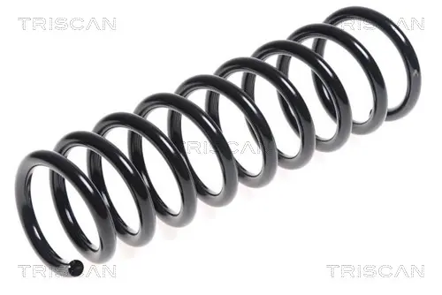 Пружина за ходовата част TRISCAN
