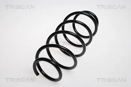 Пружина за ходовата част TRISCAN