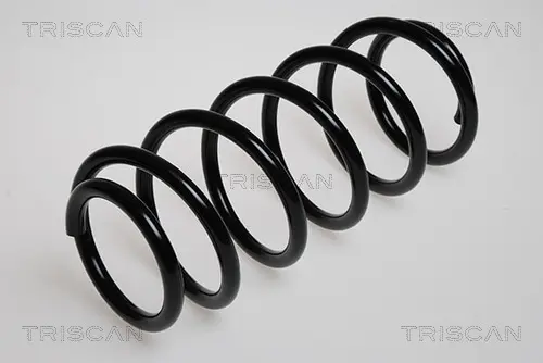Пружина за ходовата част TRISCAN