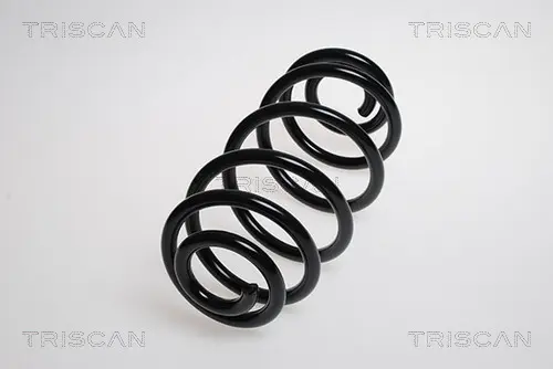 Пружина за ходовата част TRISCAN