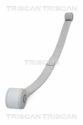 Комплект пружини TRISCAN