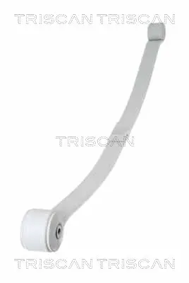 Комплект пружини TRISCAN