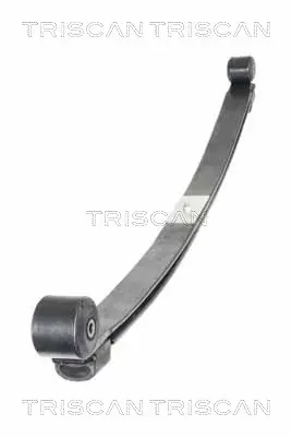 Комплект пружини TRISCAN