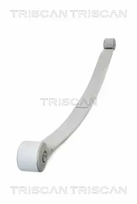 Комплект пружини TRISCAN