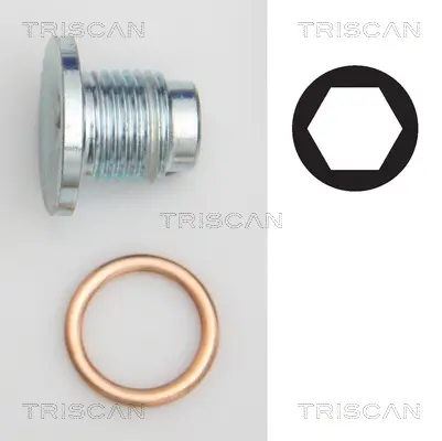 Болтова пробка, маслен картер TRISCAN