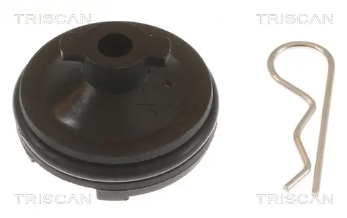 Болтова пробка, маслен картер TRISCAN