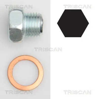 Болтова пробка, маслен картер TRISCAN