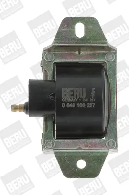 Запалителна бобина BorgWarner (BERU)