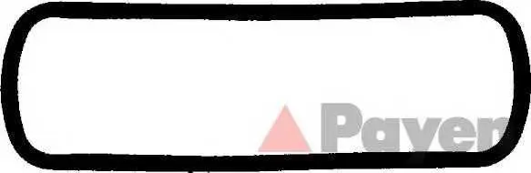 Гарнитура, капак на цилиндрова глава PAYEN