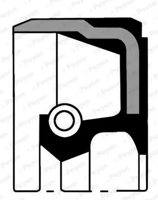 Семеринг, колянов вал PAYEN