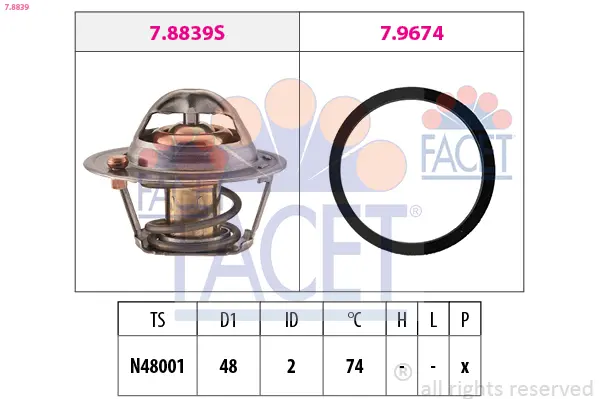 Термостат, охладителна течност FACET