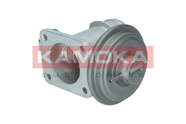 AGR-Клапан KAMOKA