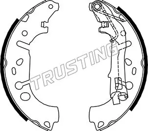 Комплект спирачна челюст TRUSTING