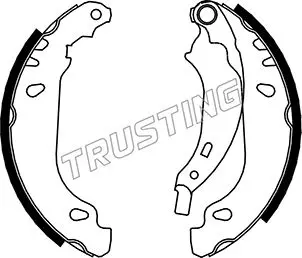 Комплект спирачна челюст TRUSTING