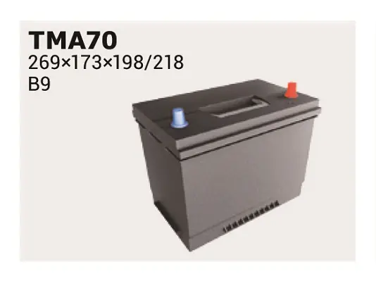 Стартов акумулатор IPSA