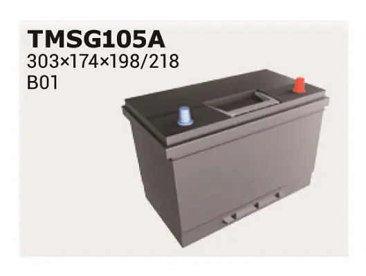 Стартов акумулатор IPSA