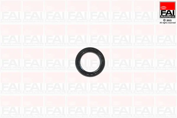 Семеринг, колянов вал FAI AutoParts