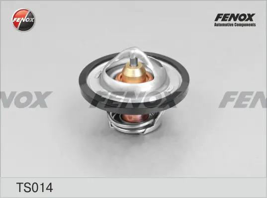 Термостат, охладителна течност FENOX