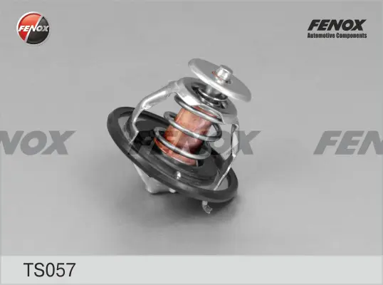 Термостат, охладителна течност FENOX