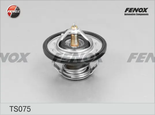 Термостат, охладителна течност FENOX