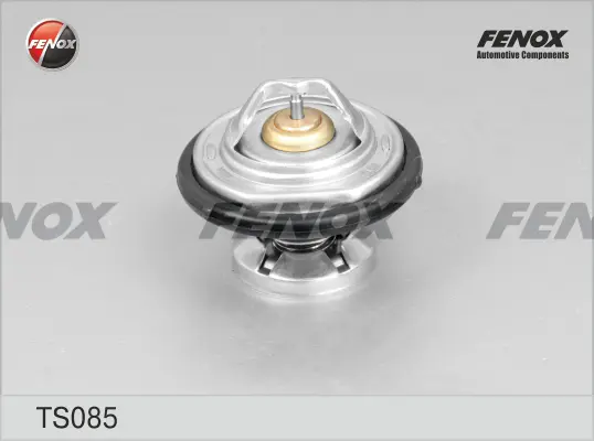 Термостат, охладителна течност FENOX