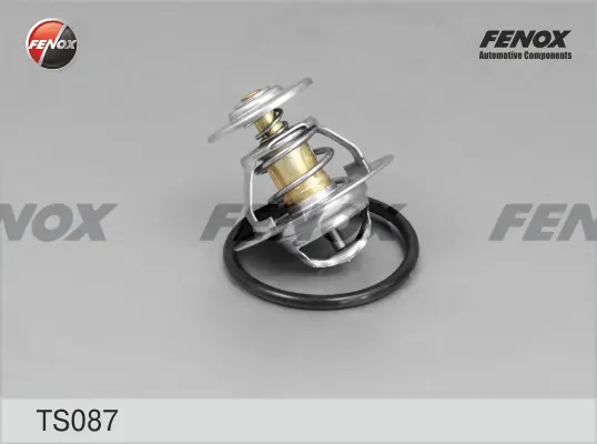 Термостат, охладителна течност FENOX