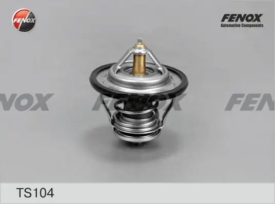 Термостат, охладителна течност FENOX