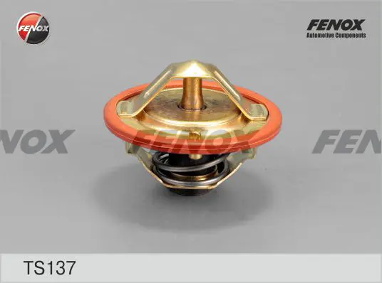 Термостат, охладителна течност FENOX