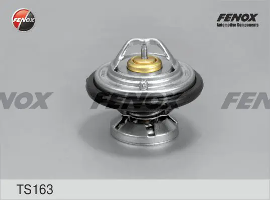 Термостат, охладителна течност FENOX