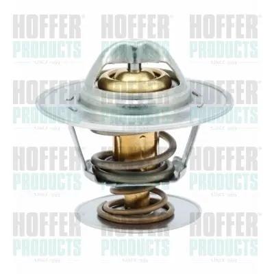 Термостат, охладителна течност HOFFER