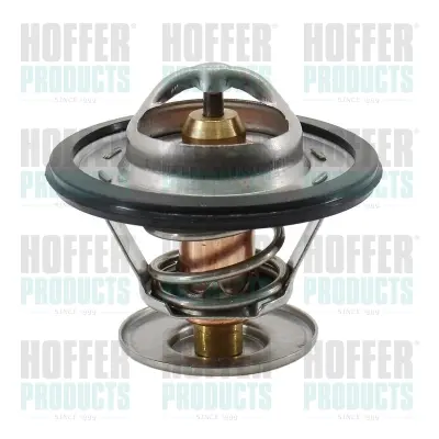 Термостат, охладителна течност HOFFER