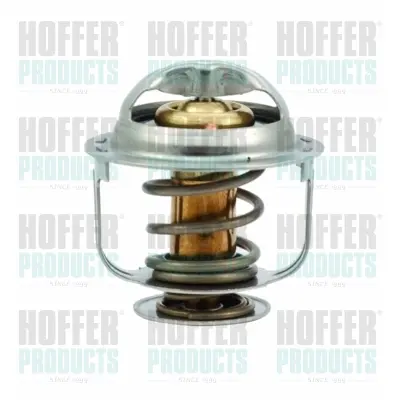 Термостат, охладителна течност HOFFER