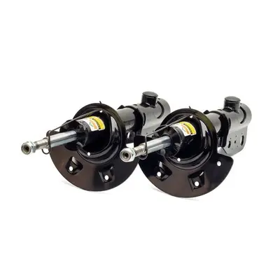 амортисьор Arnott              