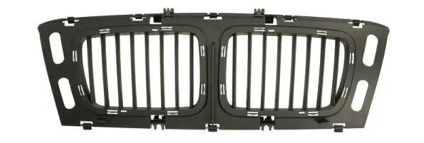 решетка пред радиатора BLIC                