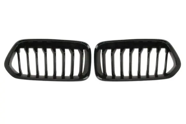 решетка пред радиатора BLIC                