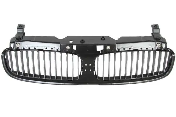 решетка пред радиатора BLIC                