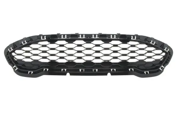 решетка пред радиатора BLIC                