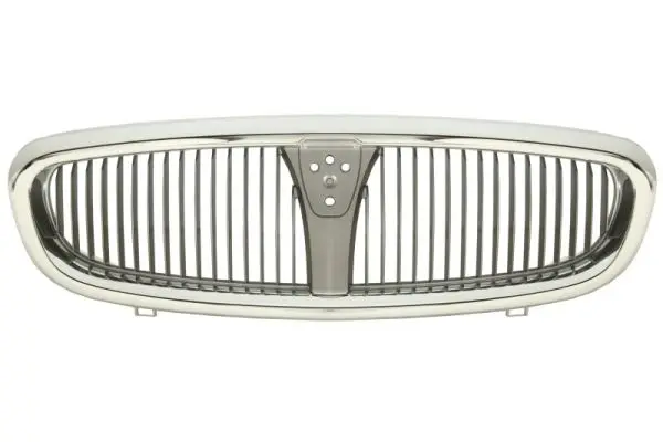 решетка пред радиатора BLIC                