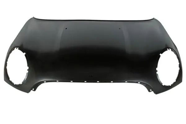 капак на двигателя BLIC                