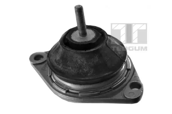 окачване, двигател TEDGUM              