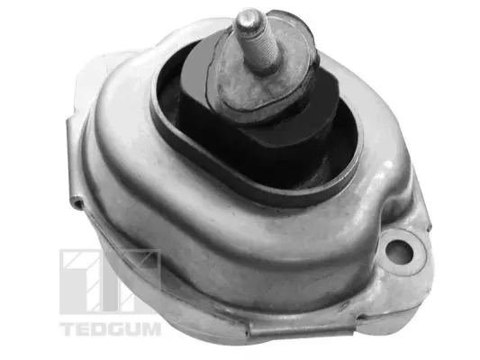 окачване, двигател TEDGUM              