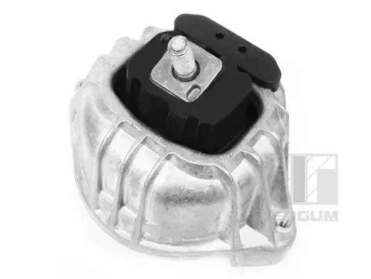 окачване, двигател TEDGUM              