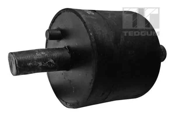 окачване, двигател TEDGUM              