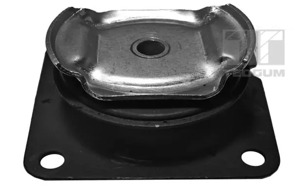 окачване, диференциал TEDGUM              