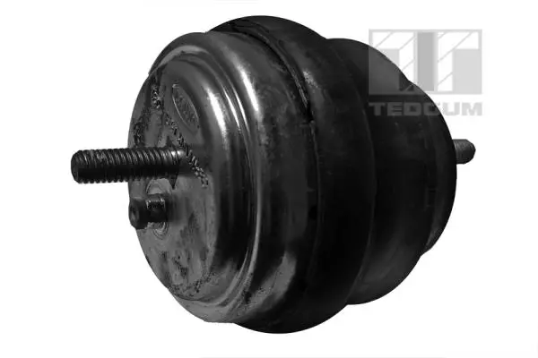 окачване, двигател TEDGUM              