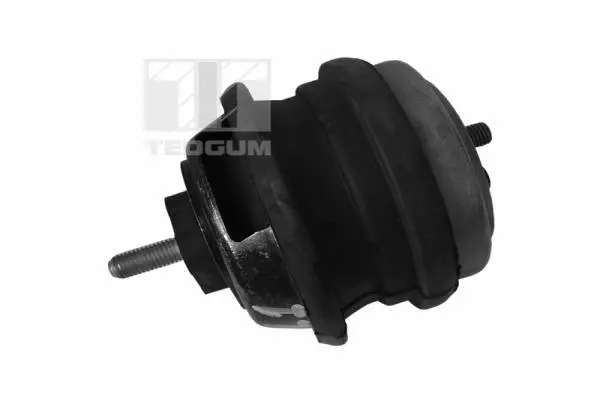 окачване, двигател TEDGUM              