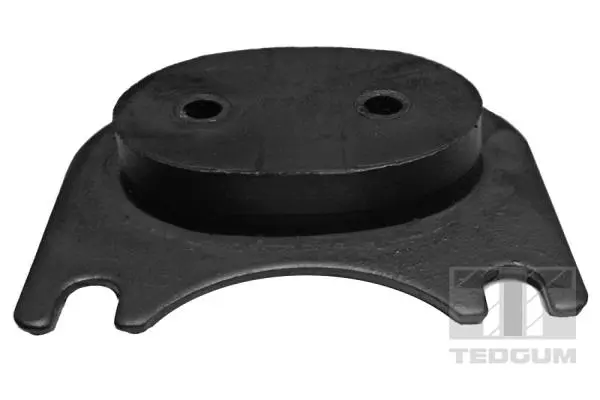 окачване, двигател TEDGUM              